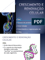 DNA e Síntese Proteica.pdf