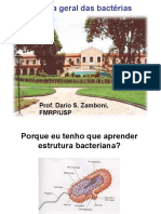 aula_biologia_geral_das_bacterias.pdf