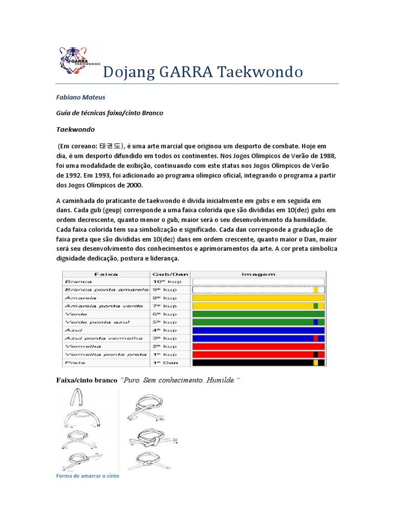 Guia de técnicas da faixa branca em Taekwondo introdução às bases