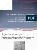 Triquinosis I