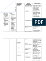 Cuadro Analitico de Diagnosticos de Enfermeria en Paciente Con VIH