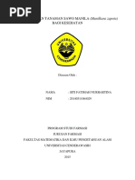 Download Pemanfaatan Buah Sawo by ninarahim SN324023482 doc pdf