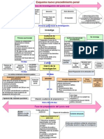 Esquema Nuevo Codigo Procesalpenal - Plazos Chile