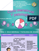 Ciclo Menstrual