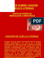 Taller de Cancer Cervico Uterino
