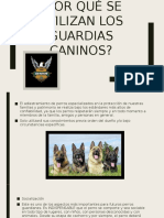 Por Qué Se Utilizan Los Guardias Caninos