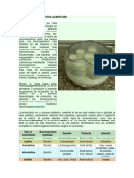 BIOTECNOLOGÍA E INDUSTRIA ALIMENTARIA.pdf