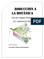 Botanica PDF