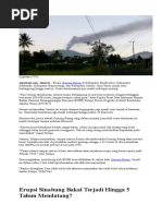 Download Artikel Gunung Meletus by Hans RD SN324052958 doc pdf