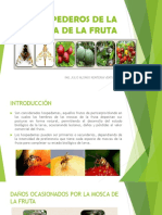 HOSPEDEROS DE LA MOSCA DE LA FRUTA.pdf