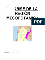 Informe de La Región Mesopotámica