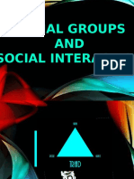 Social Groups and Social Interaction: Characteristics, Classifications, Importance of Status and Role
