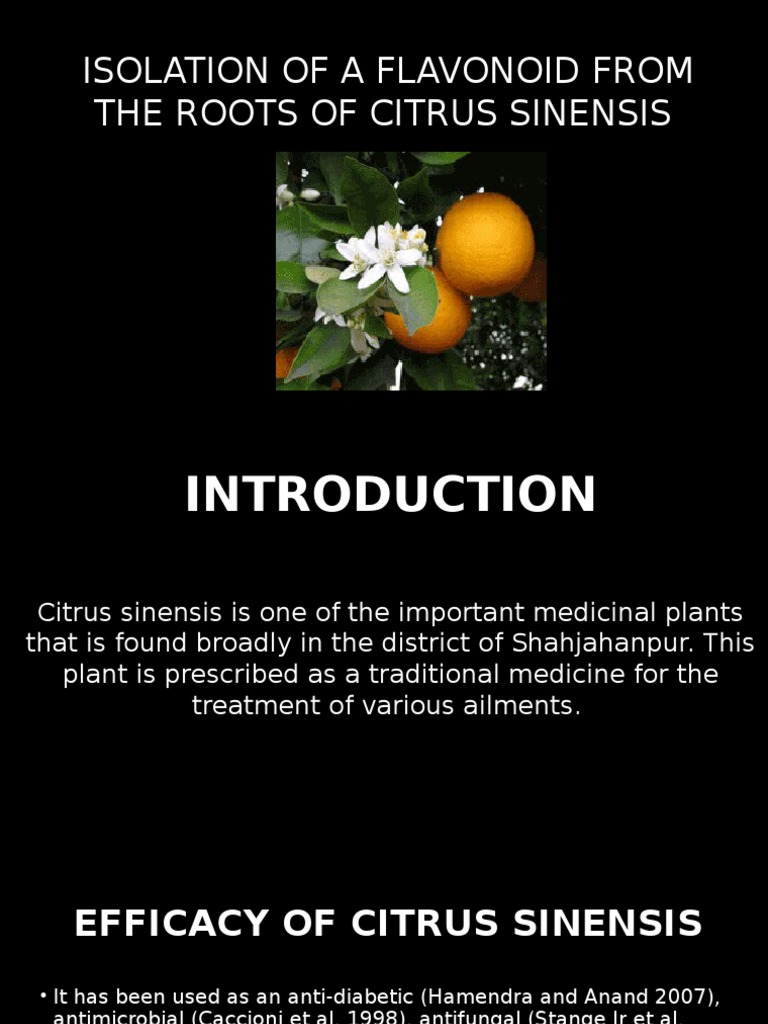 Presentasi Fitokimia PDF Flavonoid Absorption Spectroscopy