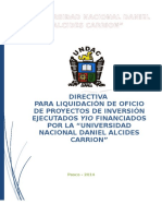 Directiva de Liquidaciones 2014 