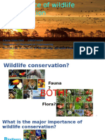 Importance of Wildlife Conservation Updated
