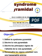 Syndrome Pyramidal 2013