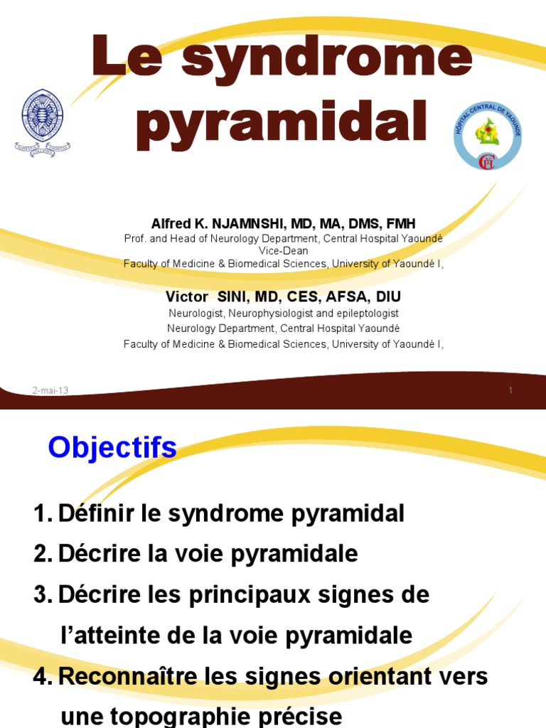 Syndrome Pyramidal 2013 | PDF | Cortex cérébral | Neuroanatomie