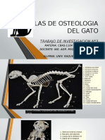 Atlas de Osteologia Del Gato