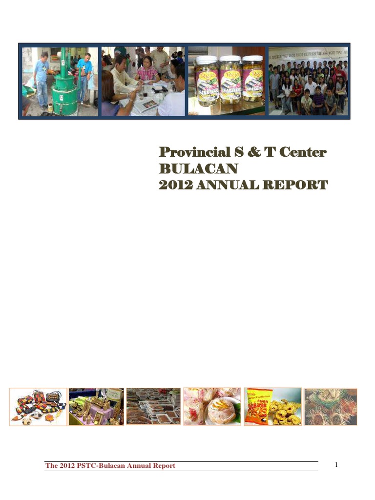 Bulacan Dost Annual Report | PDF