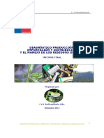 Articles-55497 Diagnostico Pilas 2011 PDF