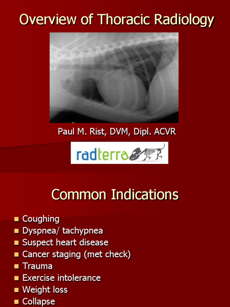 Thoracic Radiology Techniques and Insights | PDF | Lung | Thorax