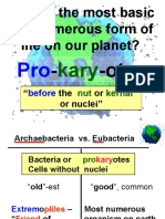 Chemosynthesis 1