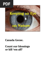 Download Vignettes Canada Geese by oddsbodkins SN32413808 doc pdf