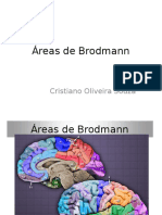 Areas de Brodmann 1