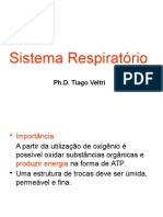 Fisiologia Respiratória 