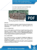 1.Sistemas OHSAS.pdf