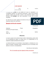 Ejemplo de Ficha de Resumen