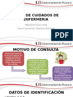 Plan de Cuidados de Enfermería en Paciente Con Injuria Renal