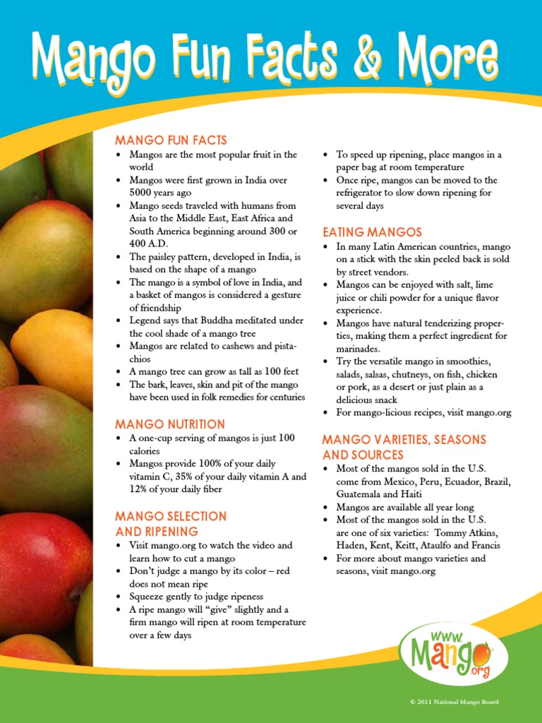 Mango Fun Facts Eng Mango Tropical Fruit