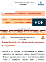 Adaptação Celular PDF