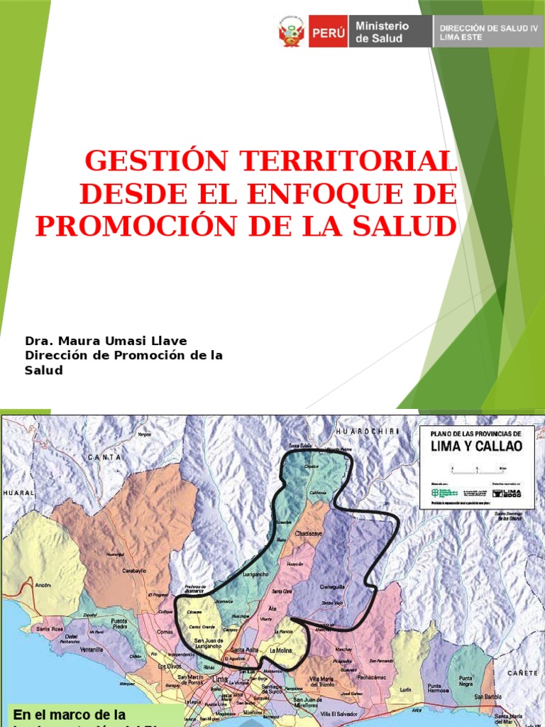 Gestión Territorial en Salud Pública | PDF | Sistema de salud ...