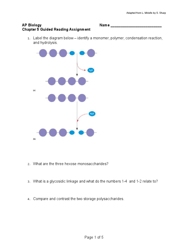 AP Biology Chapter 5 Guided Reading | PDF