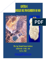 38716726-CAPITULO-I-Oro.pdf