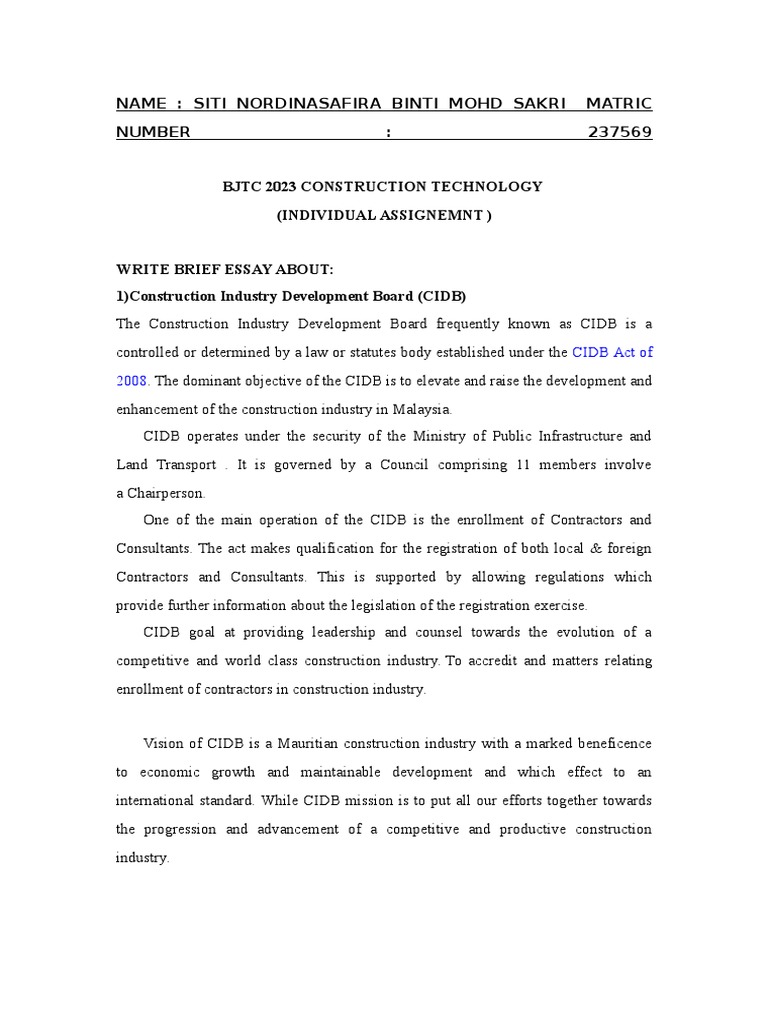Contrusction Individual Assignment | PDF | Entrepreneurship | Business
