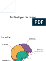 Osteologie Du Crâne 