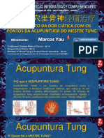 Acupuntura Do Mestre Tung Marcos Yau Simposio BH 12 2015 PDF