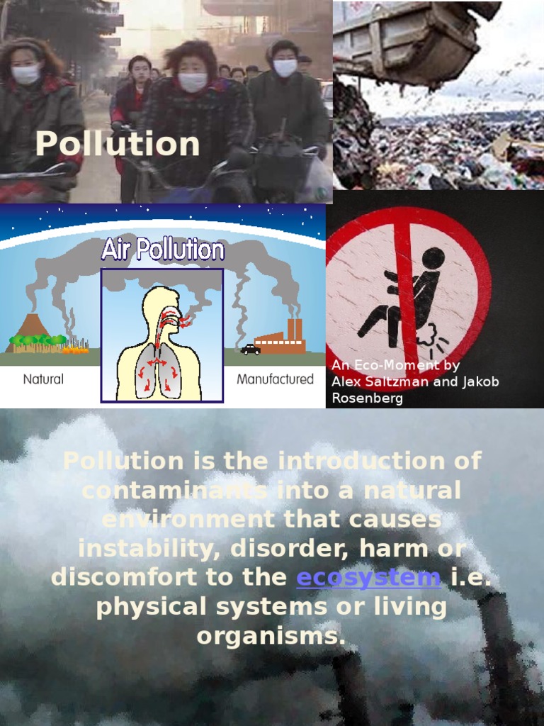 Understanding Pollution and Its Impact | PDF | Self-Improvement