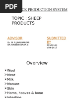 Comprehensive Sheep Products Overview | PDF | Lamb And Mutton | Wool