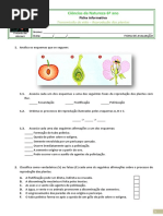 Ficha de Avaliação