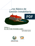 Introduccion Al Sector Inmobiliario