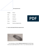 Makalah Mikrobiologi Fix