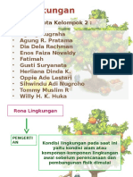 Rona Lingkungan Kelompok 2