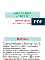 Agricultura e Estrutura Agrária No Brasil.2016 PDF