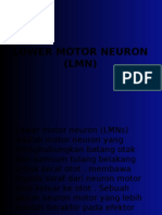 79740748 Lower Motor Neuron LMN