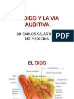 Anatomia - Via Auditiva