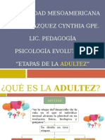 Etapas de La Adultez